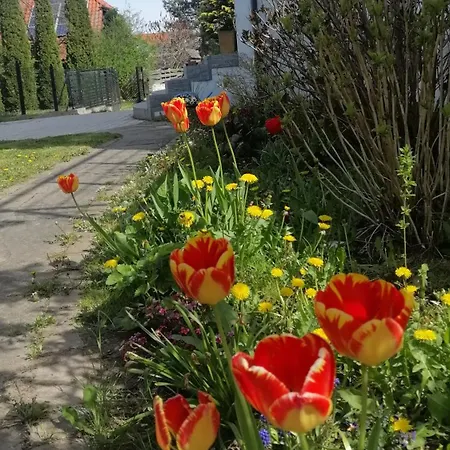 Nad Jeziorem Gdansk