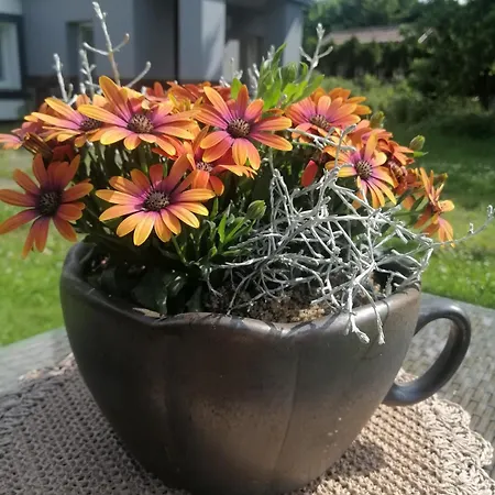 Nad Jeziorem Rum i privatbostad Gdańsk