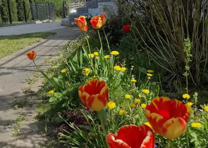 Nad Jeziorem Gdańsk