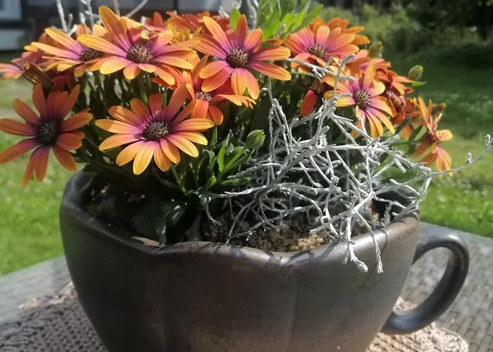 Nad Jeziorem Ubytování v soukromí Gdaňsk