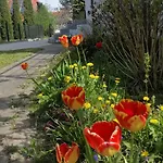 Nad Jeziorem Gdansk
